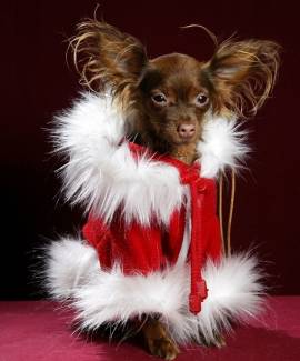 Santa Claus Mantel Pinkaholic - Bild vergr��ern 