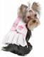 Ballroom Flirt Harness rose-silber