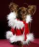 Santa Claus Mantel Pinkaholic