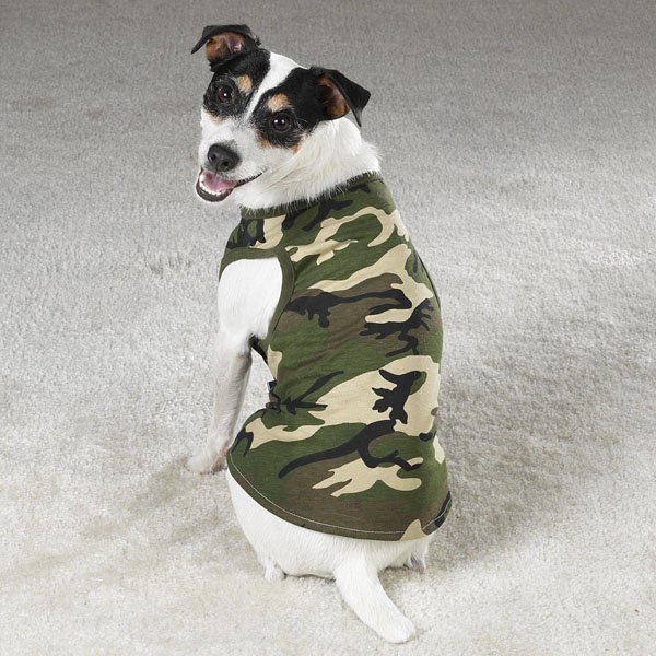 Hunde TShirt, Hunde Shirt, Hundemode, Hundebekleidung