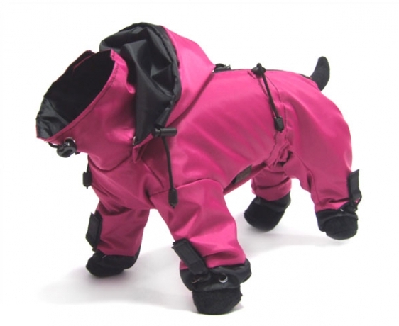 Regenanzug Hund, Regenmantel für Hunde, Regenmäntelchen Hund