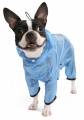 Puppy Angel Transparency Rain Coat BOY blue