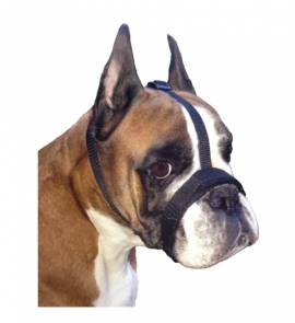 Maulkorb f�r brachycephale Rassen Boxer, franz�sische Bulldogge, Mops & Co.  - Bild vergr��ern 