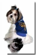 Jogger-Jacke *Rock&Dog* Blue