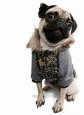 Two-Way-Eskimo Padded Jumper Puppy Angel