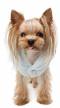Bbobbo Jumper Puppy Angel hellblau