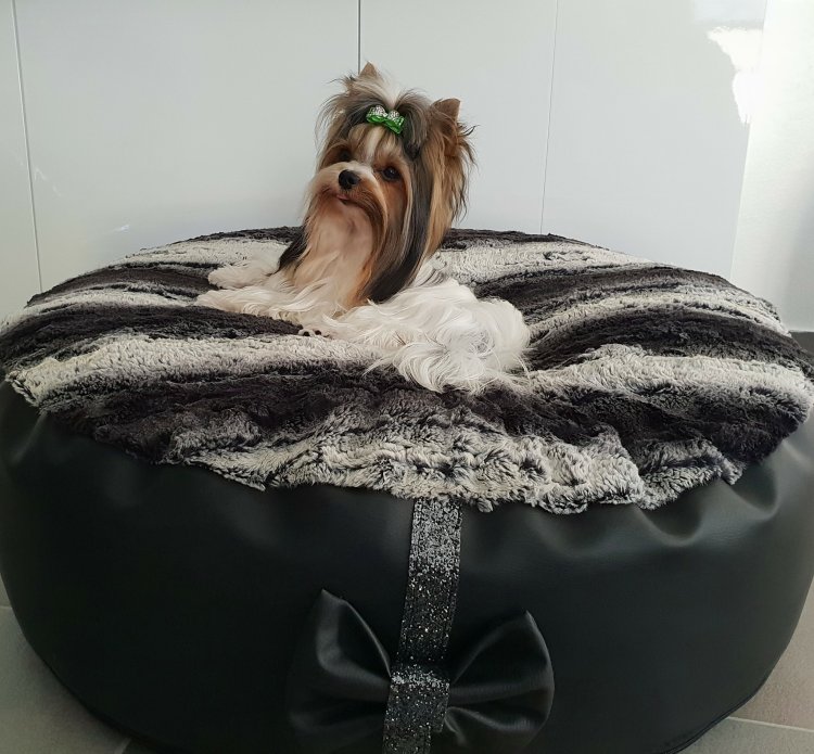 Eh Gia Pouf *Napoleon*